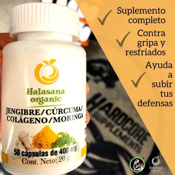 HAL Organic Jengibre